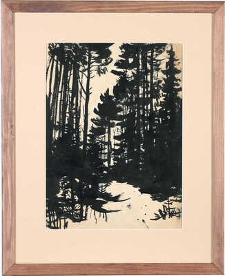 Зернова Екатерина Сергеевна. Казахстан. Боровое. Зима